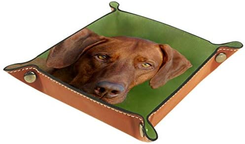 Lyetny Ridesian Ridgeback מארגן כלבים מגש מגש אחסון מיטה מיטה קאדי שולחן עבודה מגש החלפת ארנק מפתח קופסת מטבעות מגש מגש אחסון, 20.5x20.5