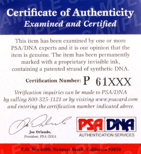 Andrew Susac SF ענקים חתמו על חתימה חתימה OMLB בייסבול PSA DNA Y70406 - כדורי בייסבול עם חתימה
