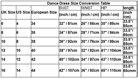קולקציית שינג - L2284 סלסה סלסה לקצב לטיני שמלת ריקוד סמבה שוליים קריסטל - סגול בהתאמה אישית, גודל אחד