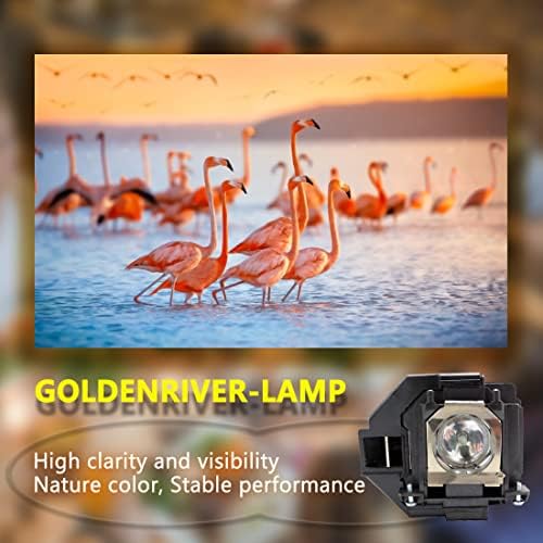 Goldenriver ELPLP96 מנורת מקרן איכותית פרימיום עם דיור תואם ל- EPSON EH-TW650 EH-TW5650 EH-TW5600 EB-X41 EB-W42 EB-W05 EB-U42 EB-U05 EB-S41