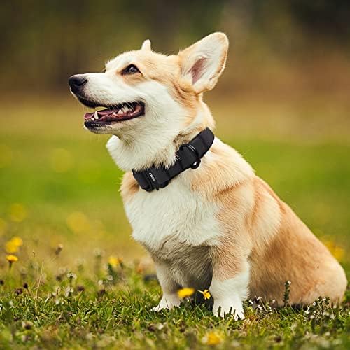 RZQ צבעוני צווארון כלבים רפלקטיבי, צווארוני ניילון יציבים לכלבים גדולים בינוניים קטנים, צווארוני כלבים מתכווננים עם סגנון אופנה של אבזם