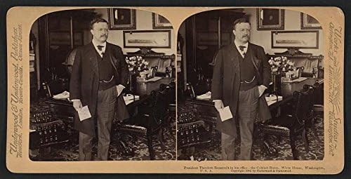 צילום היסטורי: רפרודוקציה, הנשיא תיאודור רוזוולט, חדר ארונות, הבית הלבן, וושינגטון הבירה