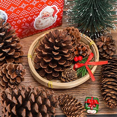 AndyDesign 68 יחידות חג המולד חרוטים אורן טבעי 4 צורות צורות אורן גדלים מגוונים קישוטי קישודים מקפיצים אמיתיים אורנים לשמירה על עץ חג